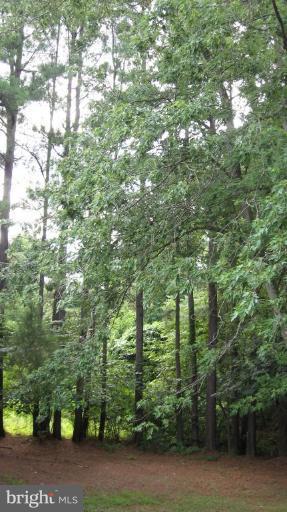 8640 Sinclair Mill Road Manassas, VA 20112 - Photo 11 of 21 Approx 1 beautiful private acre!