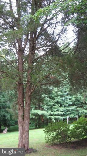 8640 Sinclair Mill Road Manassas, VA 20112 - Photo 12 of 21 View from relaxing deck.