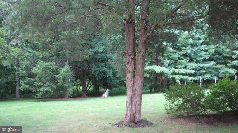 8640 Sinclair Mill Road Manassas, VA 20112 - Photo 15 of 21 Wooded View / Acreage 2