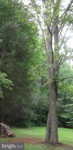 8640 Sinclair Mill Road Manassas, VA 20112 - Photo 10 of 21 Wooded View / Acreage 3