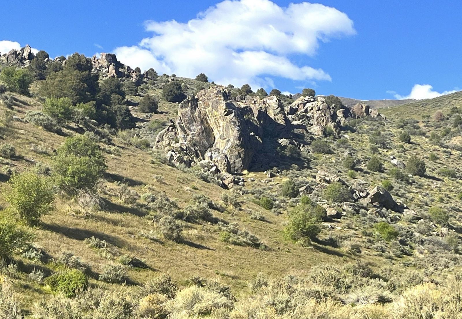 Mill Creek Road Battle Mountain, NV 89820 - Photo 6 of 9