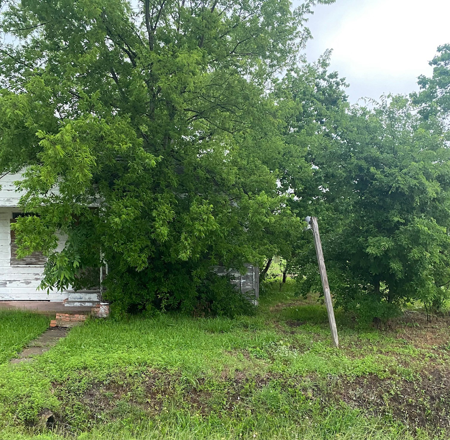 7214 Dallas Street Baytown, TX 77521 - Photo 3 of 9 a view of a backyard with a slide