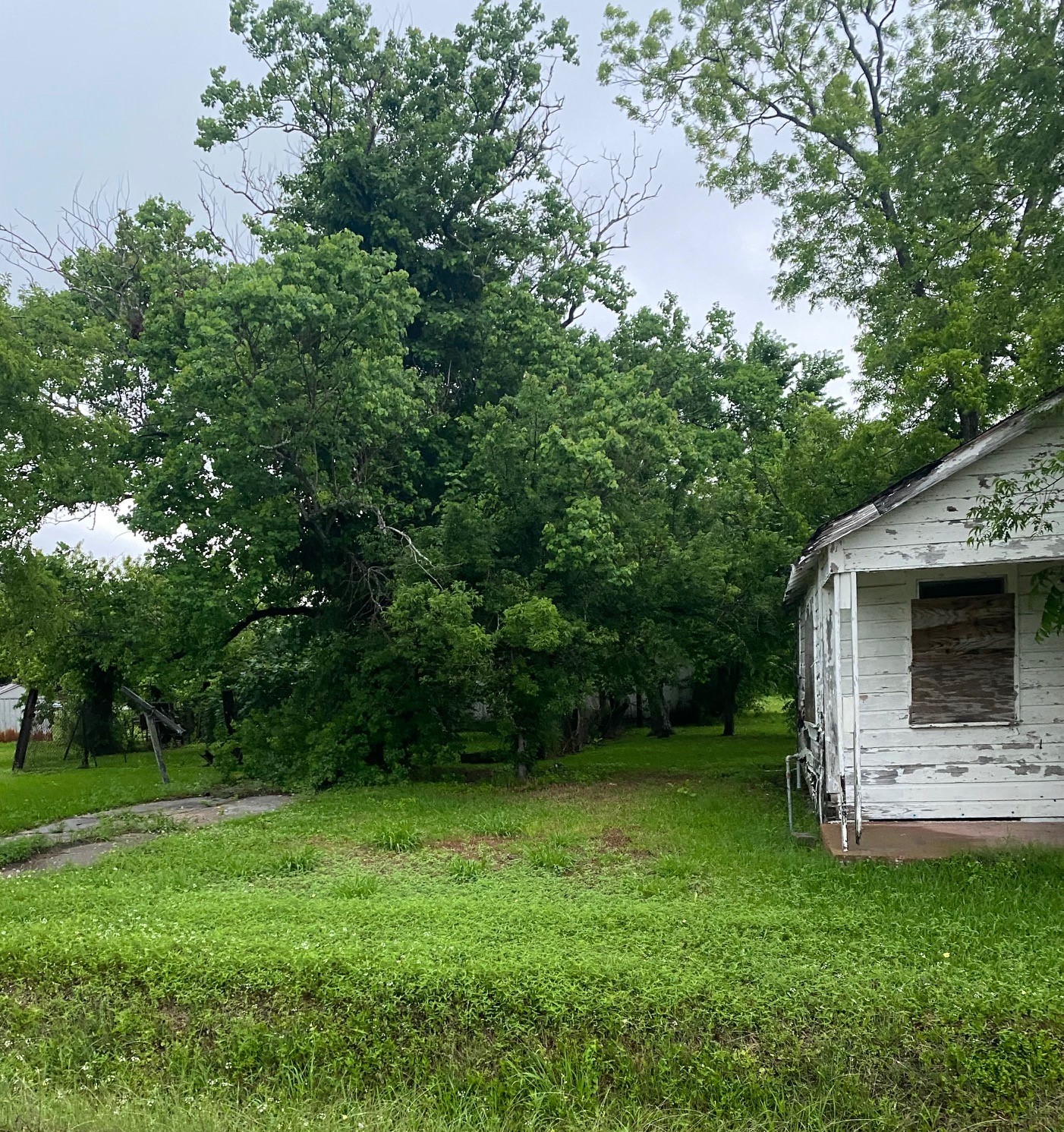 7214 Dallas Street Baytown, TX 77521 - Photo 4 of 9 a view of a backyard with potted plants and large trees
