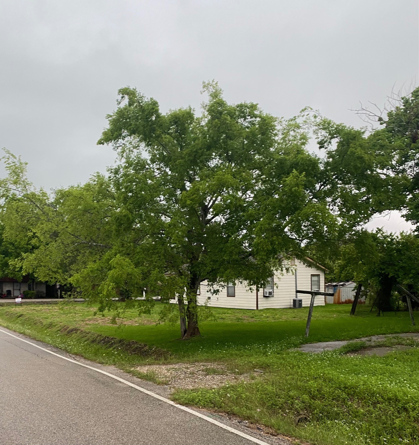 7214 Dallas Street Baytown, TX 77521 - Photo 5 of 9 a huge green field with lots of trees