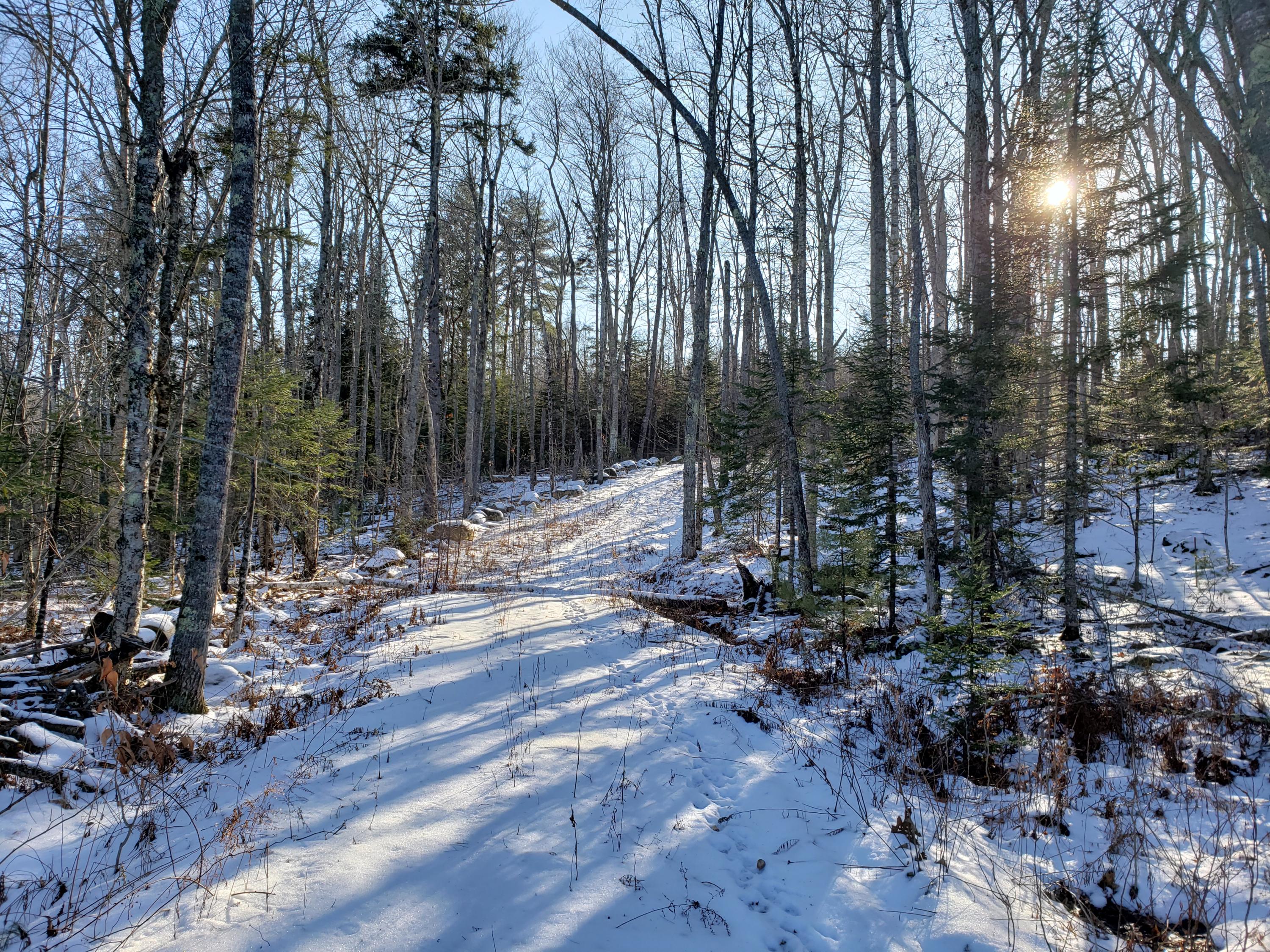 0 Woods Road Belfast, ME 04915 - Photo 3 of 10 20191224_125825