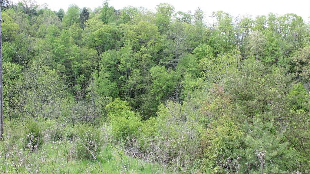 116 Smith Hollow Road Marshall, NC 28753 - Photo 11 of 13 Gallery Image 11