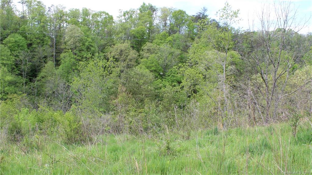 116 Smith Hollow Road Marshall, NC 28753 - Photo 12 of 13 Gallery Image 12