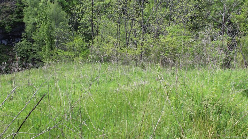 116 Smith Hollow Road Marshall, NC 28753 - Photo 8 of 13 Gallery Image 8