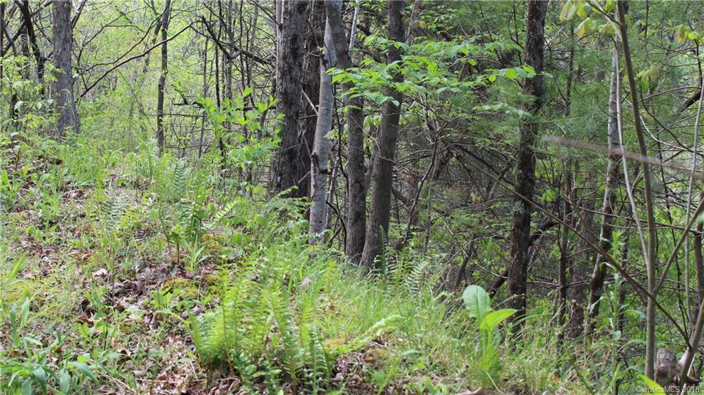 116 Smith Hollow Road Marshall, NC 28753 - Photo 10 of 13 Gallery Image 10