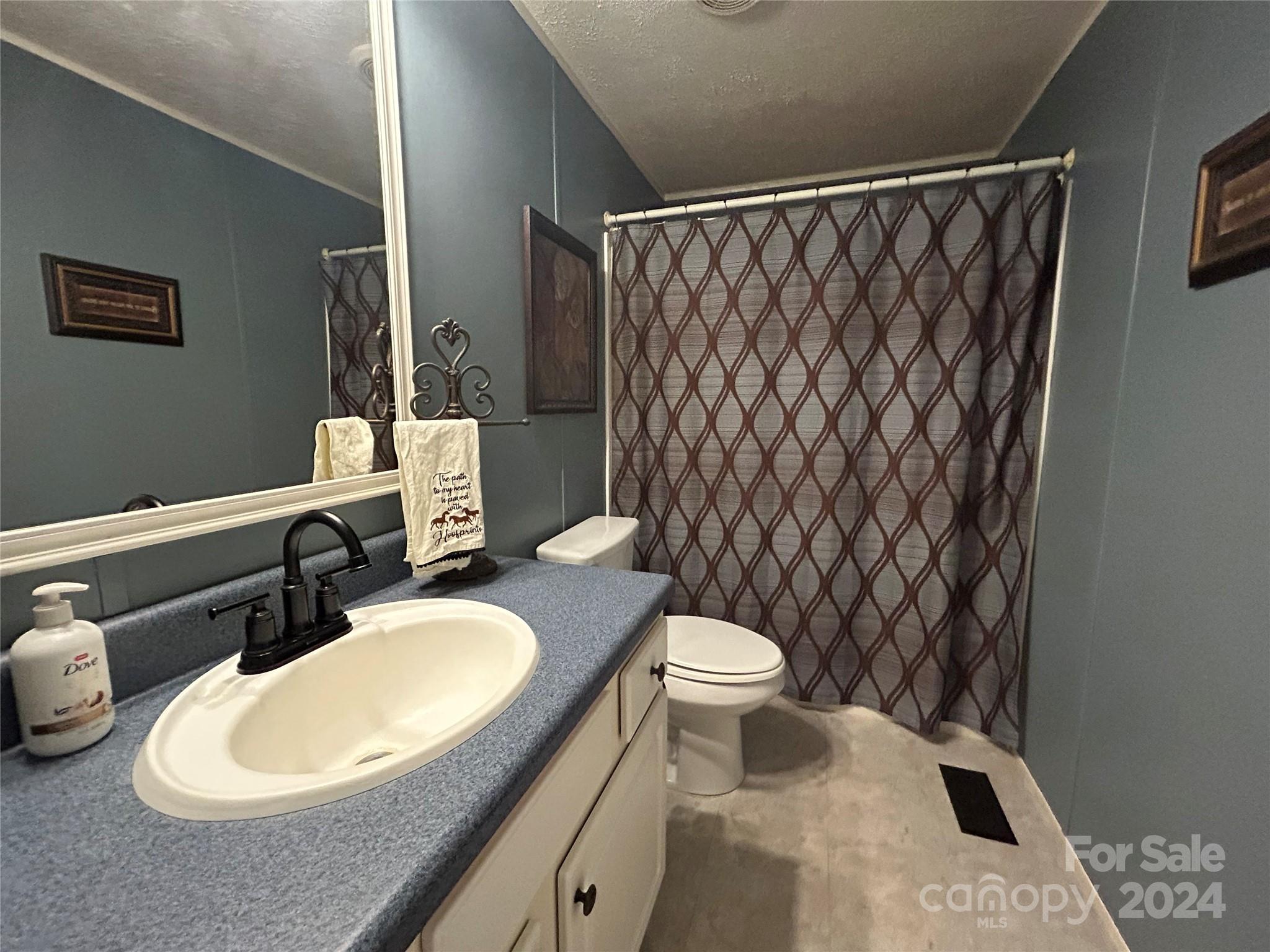3250 Ferguson Long Road York, SC 29745 - Photo 28 of 32 a bathroom with a sink a toilet and shower curtain