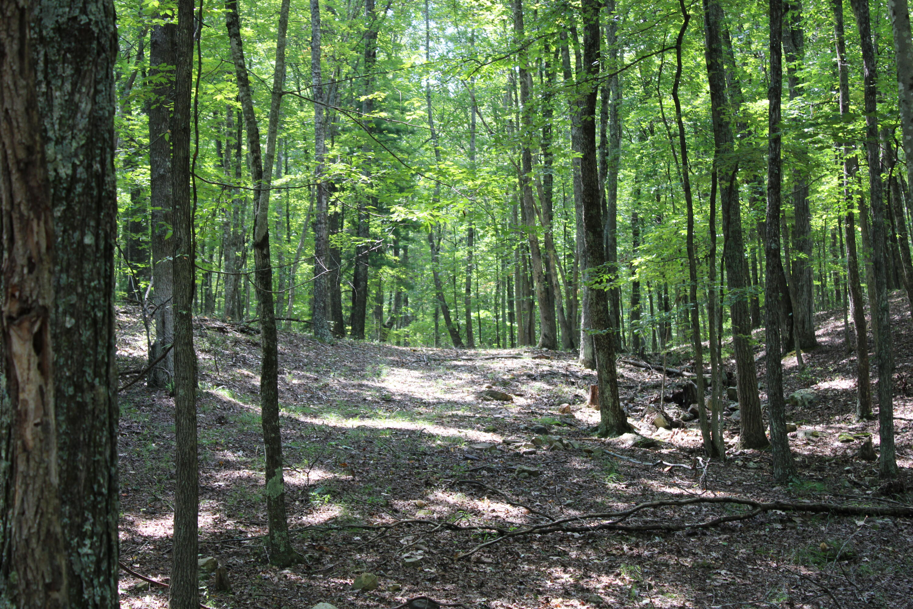 2816 Johns Creek Road New Castle, VA 24127 - Photo 38 of 96 IMG_0031