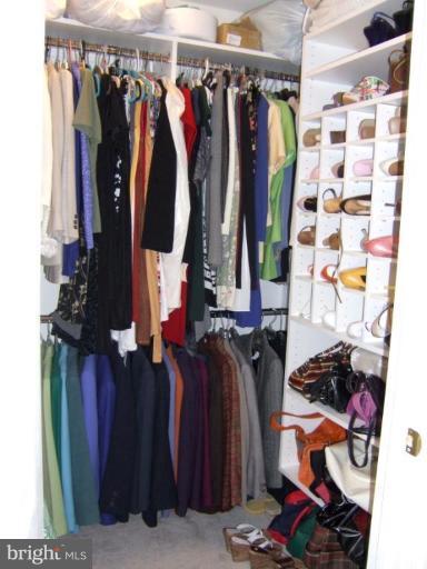 4401 Summer Grape Road, Unit 4401 Pikesville, MD 21208 - Photo 17 of 28 walk-in California closets in all bedrooms and lof