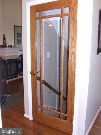 4401 Summer Grape Road, Unit 4401 Pikesville, MD 21208 - Photo 18 of 28 Custom built door to basement