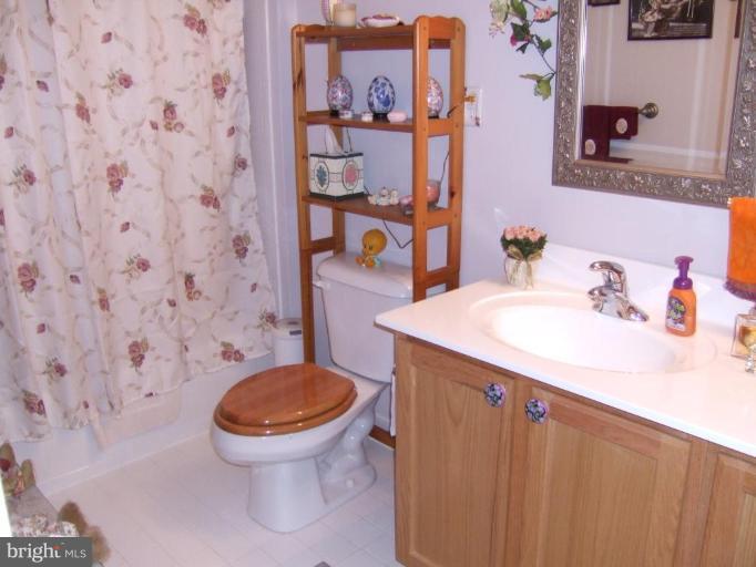 4401 Summer Grape Road, Unit 4401 Pikesville, MD 21208 - Photo 20 of 28 2nd floor bath
