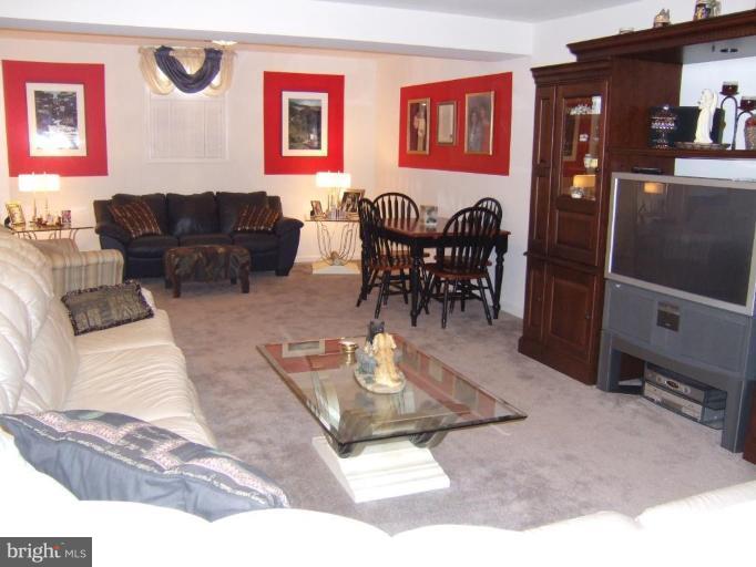 4401 Summer Grape Road, Unit 4401 Pikesville, MD 21208 - Photo 22 of 28 Media portion of lower level