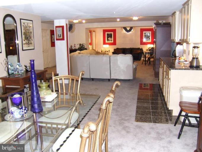 4401 Summer Grape Road, Unit 4401 Pikesville, MD 21208 - Photo 23 of 28 view of family room