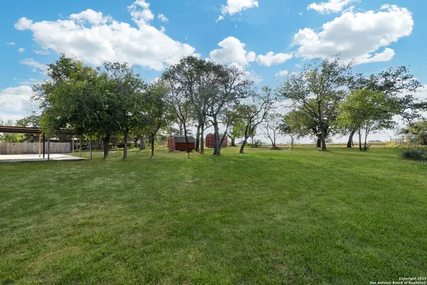 a view of park with lots of trees