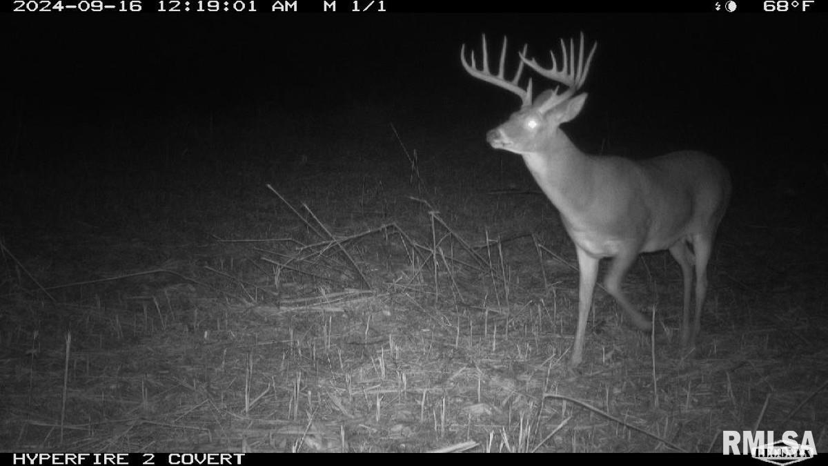0 Goodman Pond Road Dongola, IL 62926 - Photo 1 of 72 Gallery Image 1