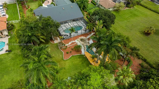 a view of a yard with plants and large trees