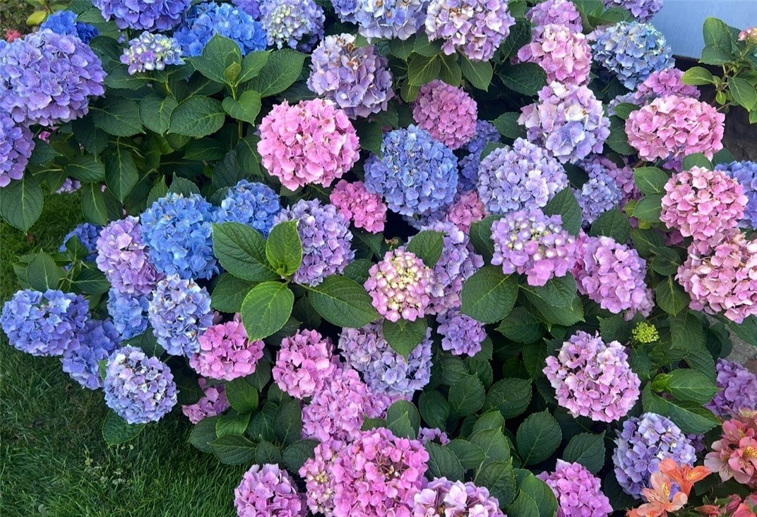 78 Van Bergh Avenue Rochester, NY 14610 - Photo 27 of 27