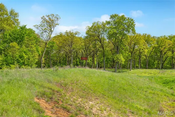 $275,000 | 222 C Prairietown Road, Dorsey, IL 62021