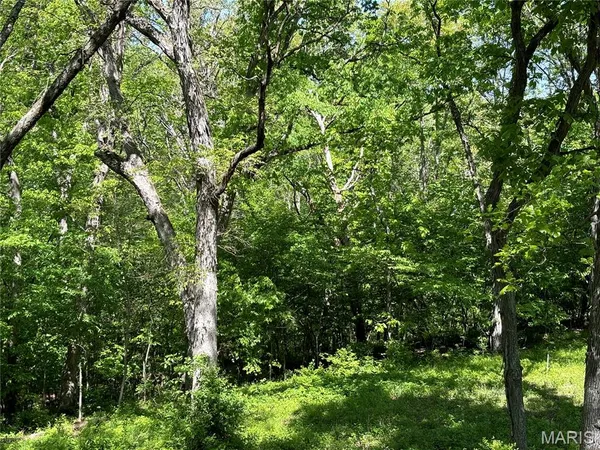 $275,000 | 222 C Prairietown Road, Dorsey, IL 62021