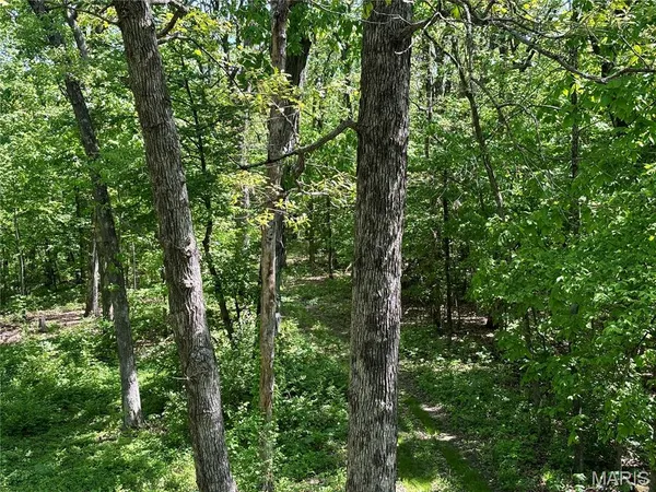 $275,000 | 222 C Prairietown Road, Dorsey, IL 62021