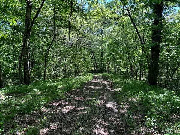 $275,000 | 222 C Prairietown Road, Dorsey, IL 62021