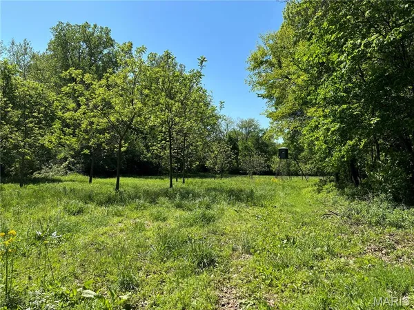 $275,000 | 222 C Prairietown Road, Dorsey, IL 62021