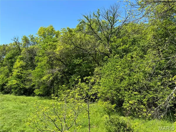 $275,000 | 222 C Prairietown Road, Dorsey, IL 62021