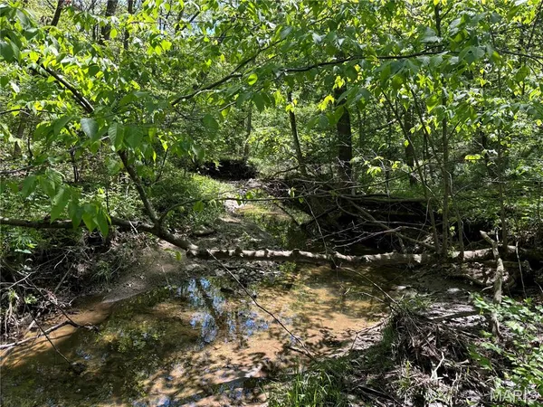 $275,000 | 222 C Prairietown Road, Dorsey, IL 62021