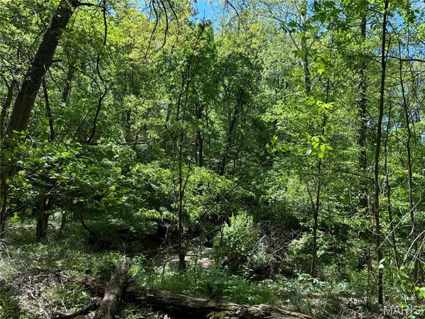 $275,000 | 222 C Prairietown Road, Dorsey, IL 62021