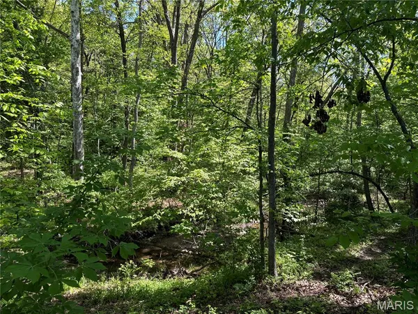 $275,000 | 222 C Prairietown Road, Dorsey, IL 62021