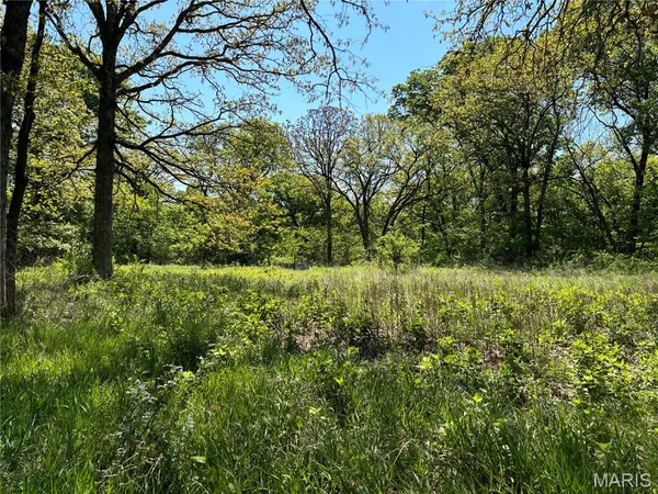 $275,000 | 222 C Prairietown Road, Dorsey, IL 62021