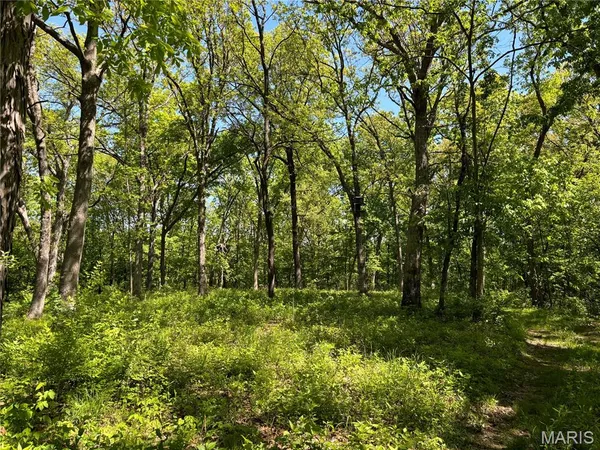 $275,000 | 222 C Prairietown Road, Dorsey, IL 62021