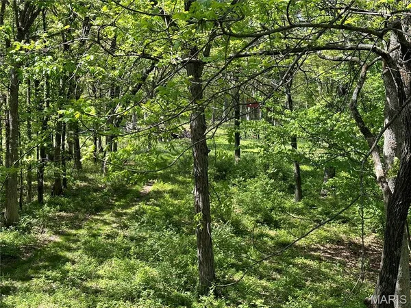 $275,000 | 222 C Prairietown Road, Dorsey, IL 62021