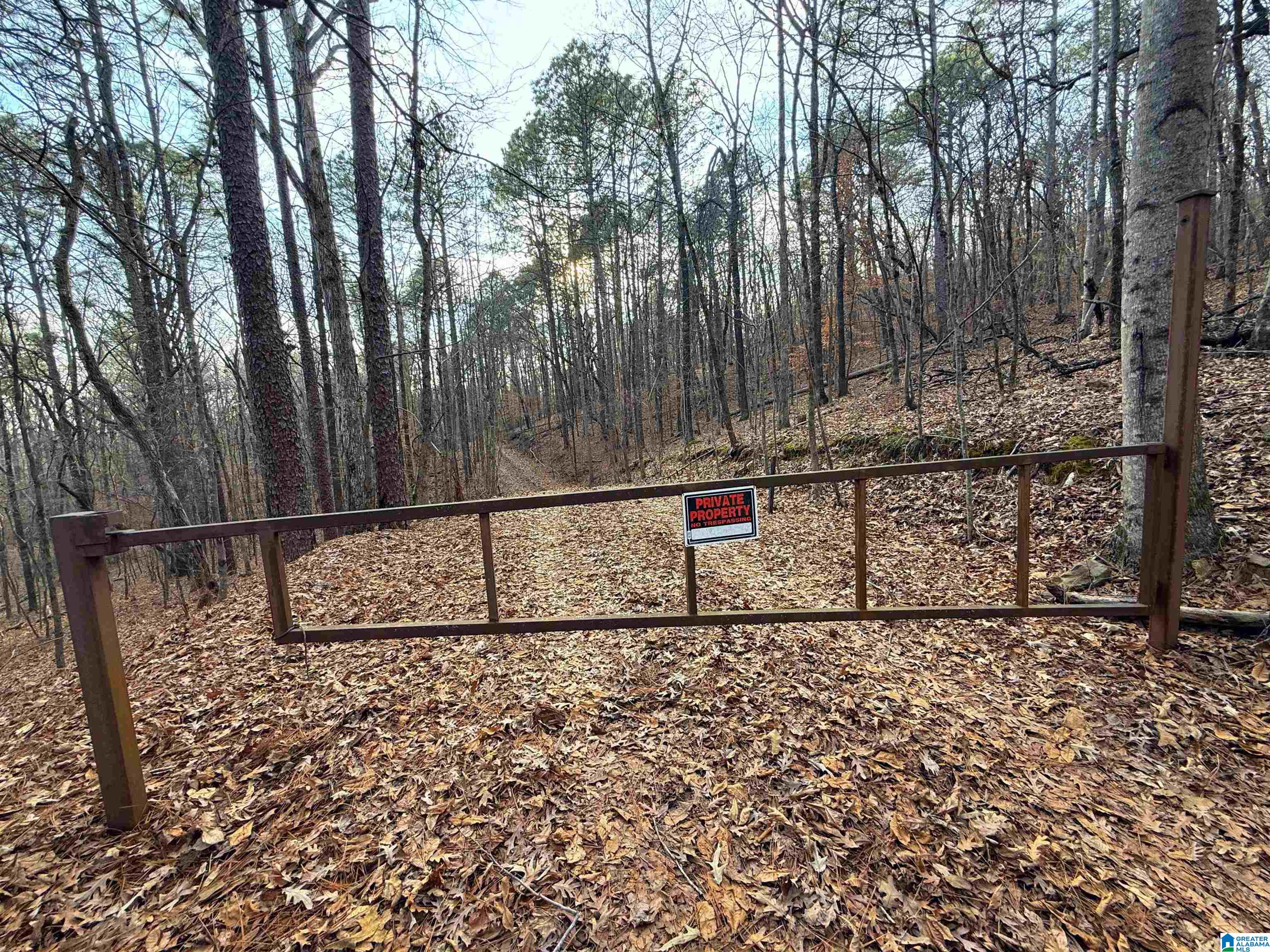 0 Deer Run Road Alabaster, AL 35007 - Photo 15 of 25