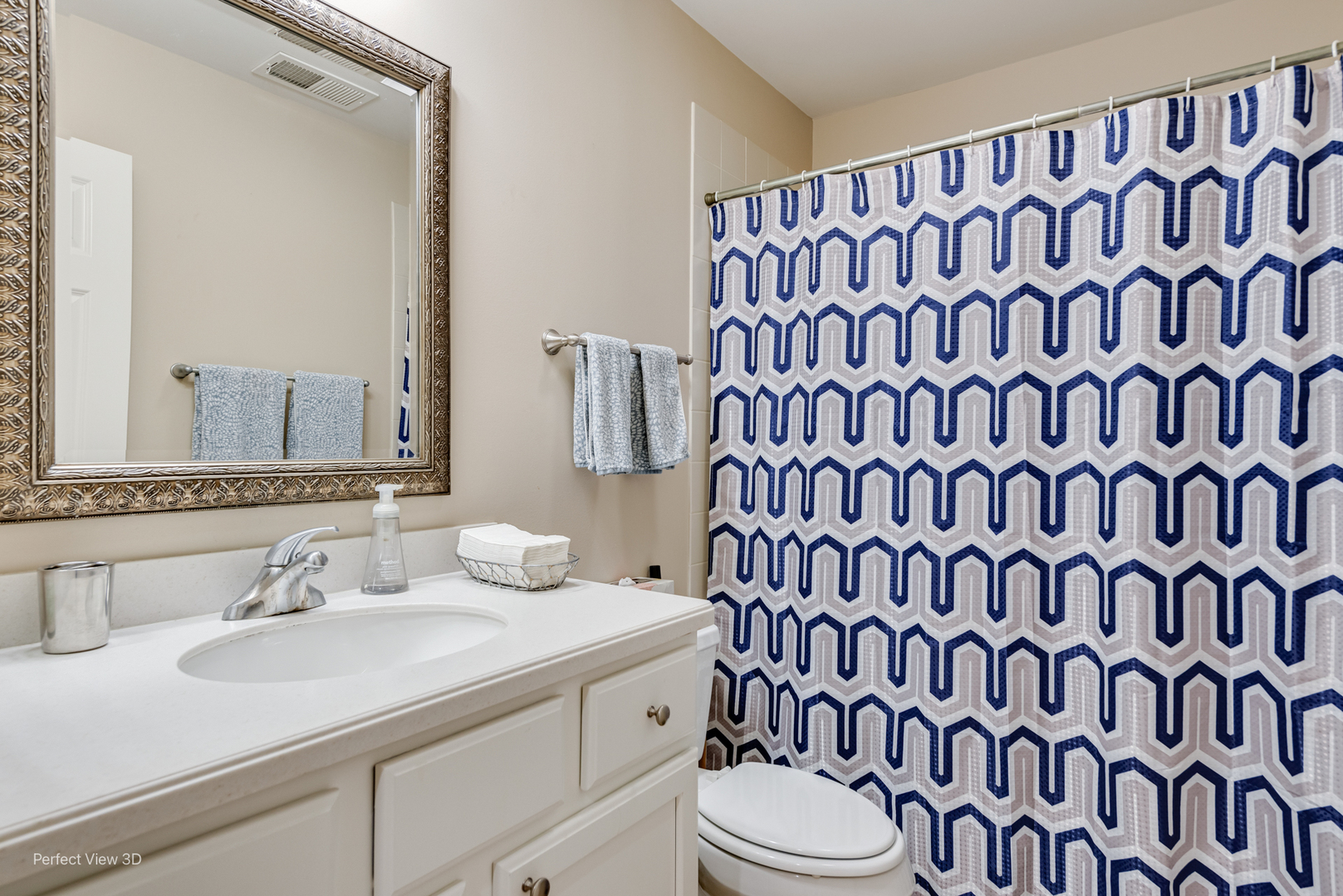 21946 West Tori Lane Deer Park, IL 60010 - Photo 11 of 17 a bathroom with a sink and a mirror