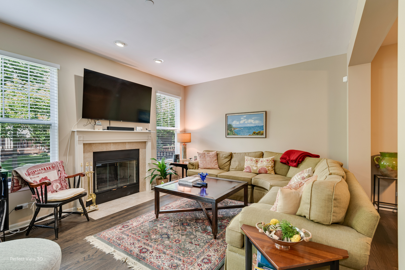21946 West Tori Lane Deer Park, IL 60010 - Photo 2 of 17 a living room with furniture a flat screen tv and a fireplace