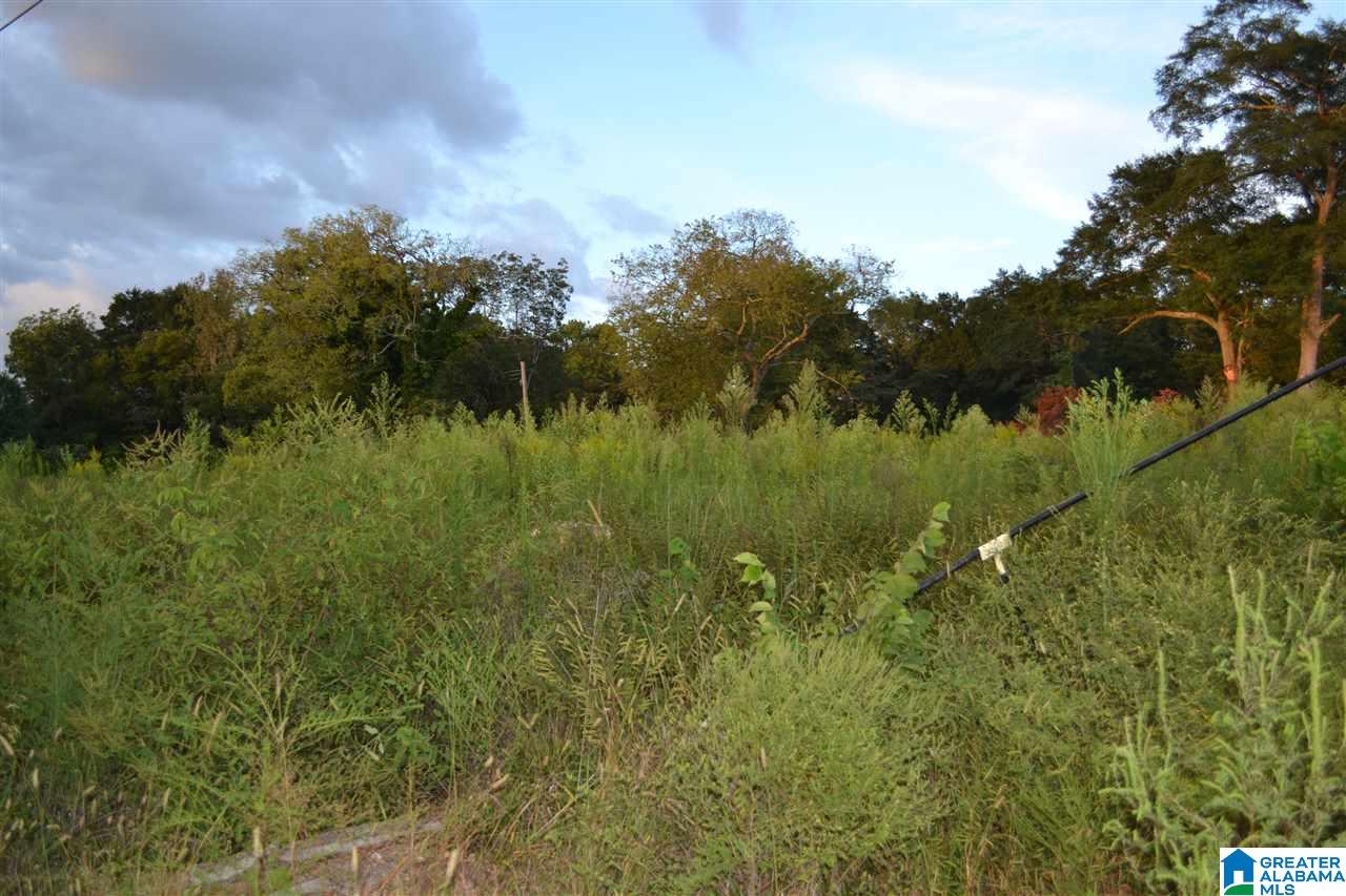 5301 Old Pinson Road, Unit 1 PARCEL Birmingham, AL 35215 - Photo 1 of 4