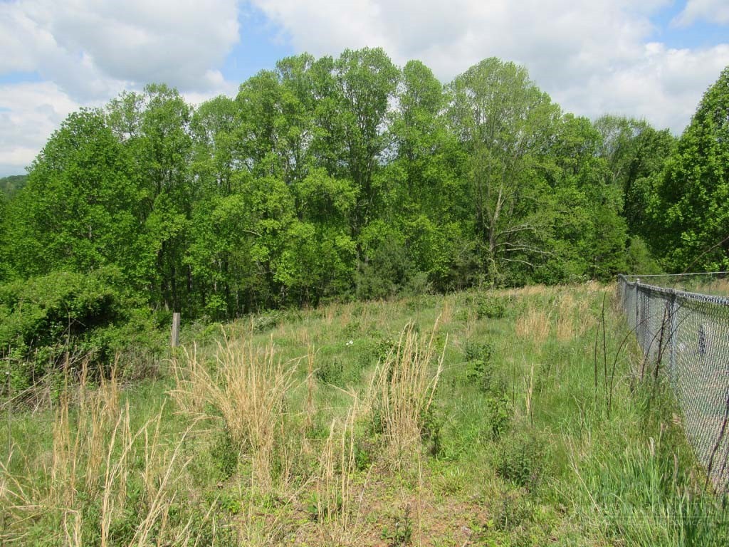 805 Ed Little Road Warrensville, NC 28693 - Photo 23 of 49 a view of a garden