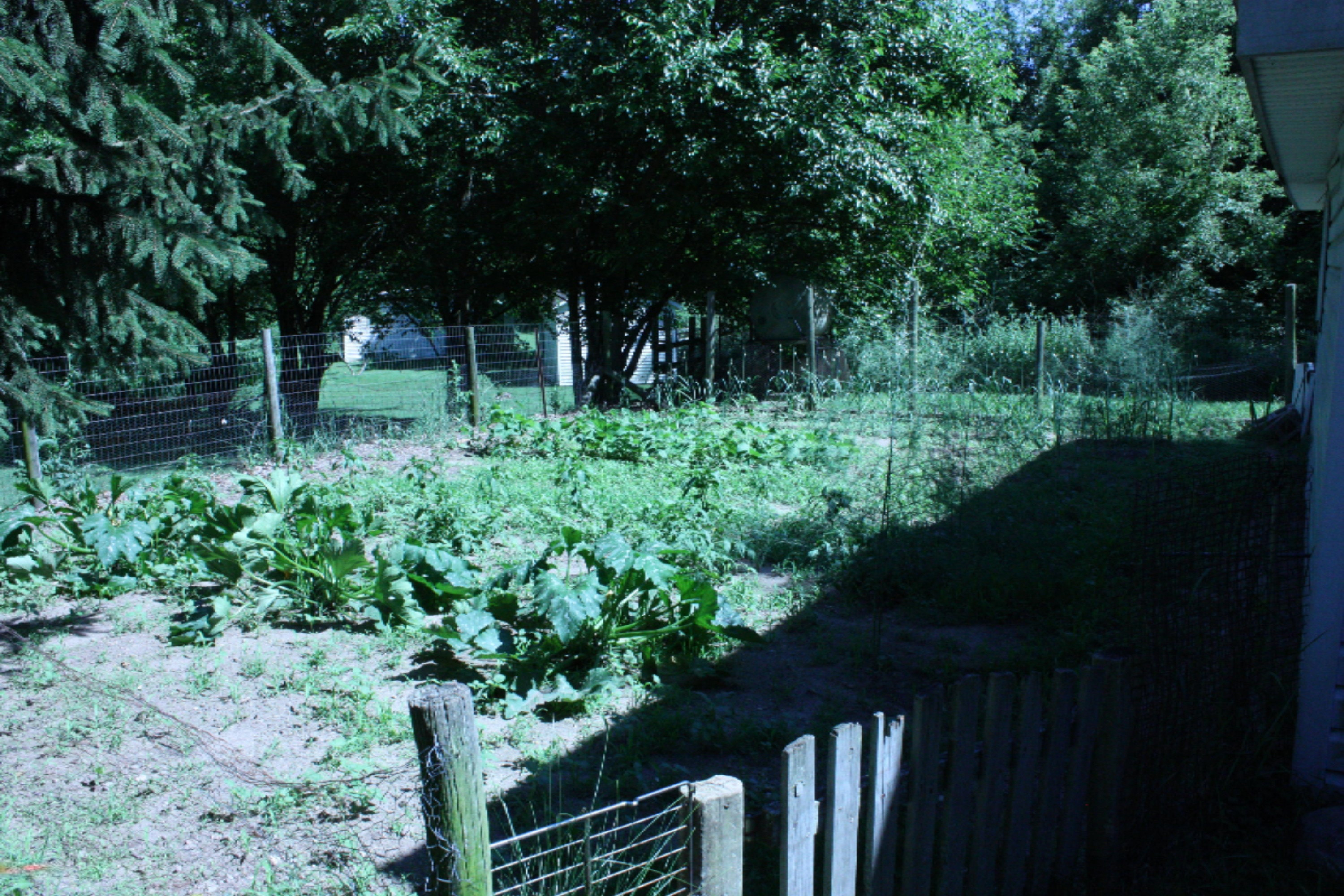 29963 Findley Road Burr Oak, MI 49030 - Photo 30 of 34 Garden Area