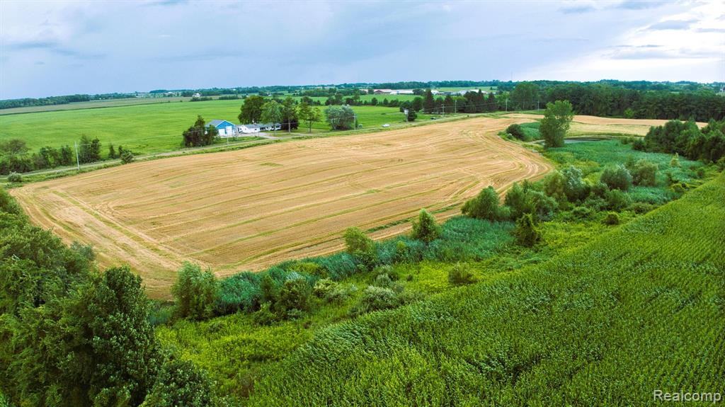 Vl Custer Road Carsonville, MI 48419 - Photo 11 of 16
