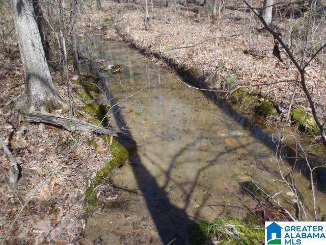 0 Shocco Springs Road, Unit 40 5 AC Talladega, AL 35160 - Photo 19 of 30