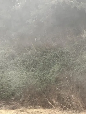 $299,900 | 216 Tucker Road, Watsonville, CA 95076