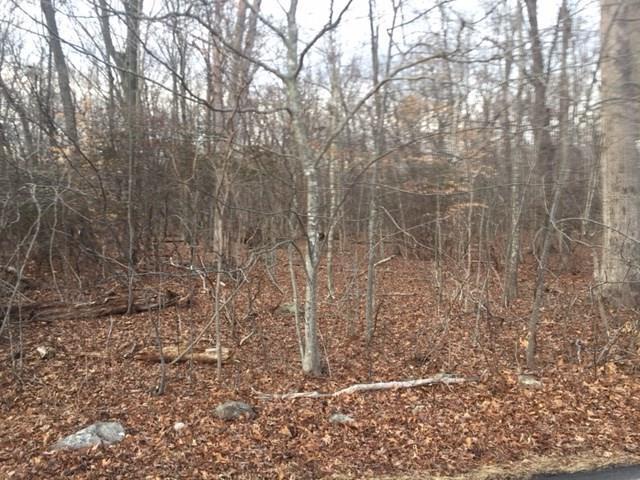 191 River Road East Haddam, CT 06423 - Photo 1 of 1 Gallery Image 1