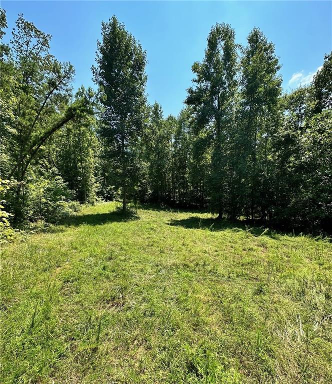 a view of outdoor space with deck and yard