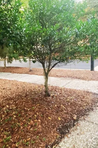 $249,900 | 8 Wild Spartina Street, Bluffton, SC 29910