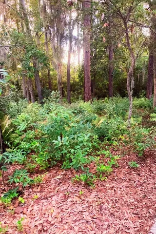 $249,900 | 8 Wild Spartina Street, Bluffton, SC 29910