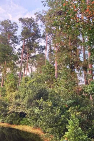 $249,900 | 8 Wild Spartina Street, Bluffton, SC 29910